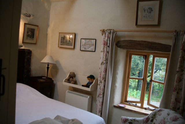 Window to the garden